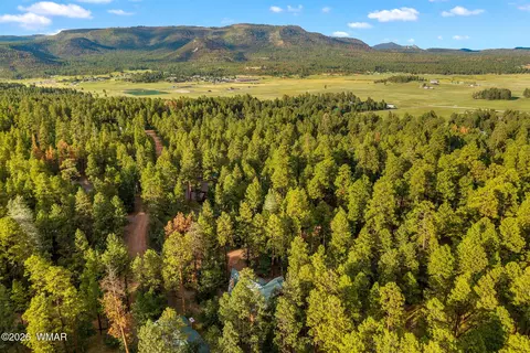 Other - 12 County Road 2070, Alpine, AZ 85920 photo 16 of 16