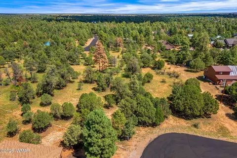 2864 Buck Cir, Overgaard, AZ 85933 photo 3