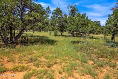 2864 Buck Cir, Overgaard, AZ 85933 photo 2