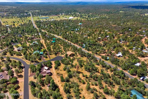 2864 Buck Cir, Overgaard, AZ 85933 photo 6