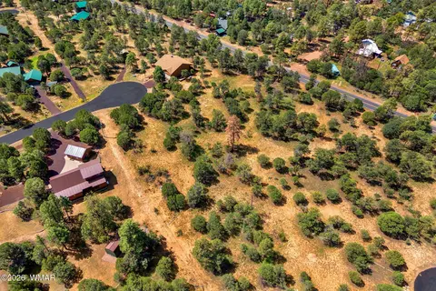 2864 Buck Cir, Overgaard, AZ 85933 photo 9