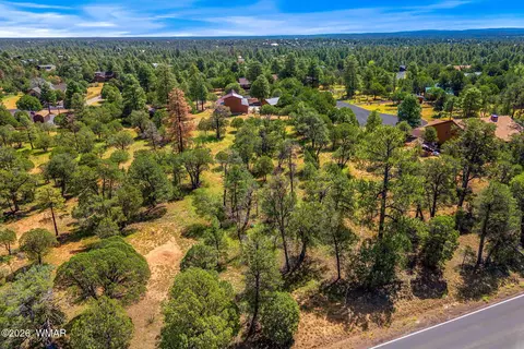 2864 Buck Cir, Overgaard, AZ 85933 photo 15