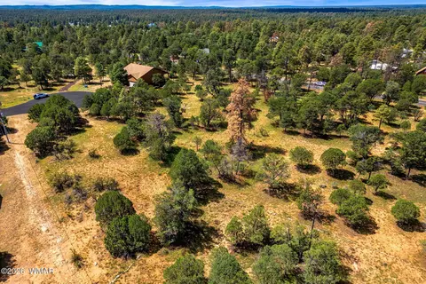 2864 Buck Cir, Overgaard, AZ 85933 photo 14