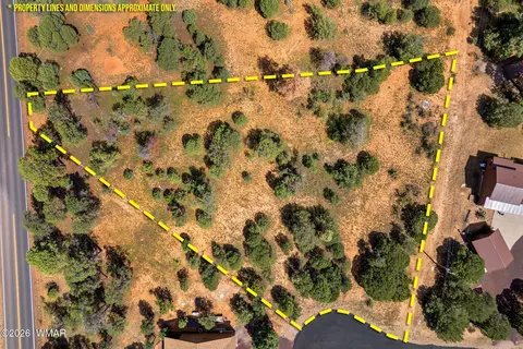 2864 Buck Cir, Overgaard, AZ 85933 photo 4