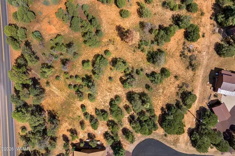 2864 Buck Cir, Overgaard, AZ 85933 photo 5
