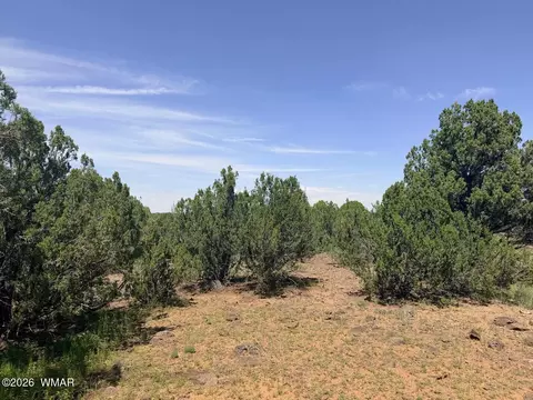8564 Pine Ln, Show Low, AZ 85901 photo 5