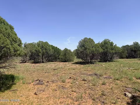 8564 Pine Ln, Show Low, AZ 85901 photo 7