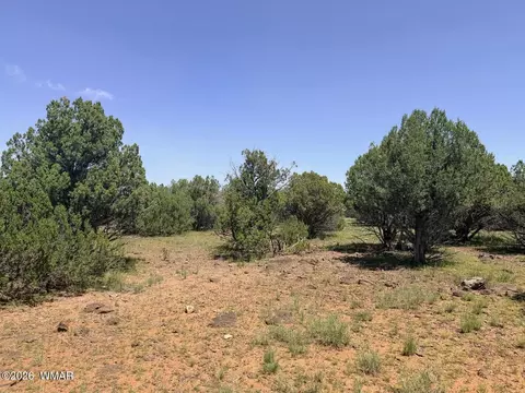 8564 Pine Ln, Show Low, AZ 85901 photo 4