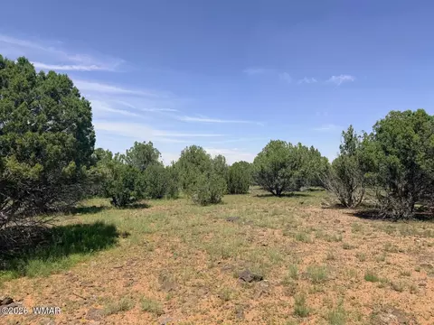 8564 Pine Ln, Show Low, AZ 85901 photo 8