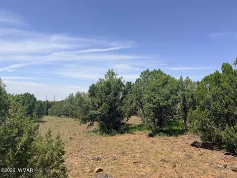 8564 Pine Ln, Show Low, AZ 85901 photo 3