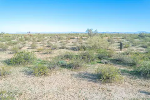 tbd Cactus Frst, Florence, AZ 85132 photo 8
