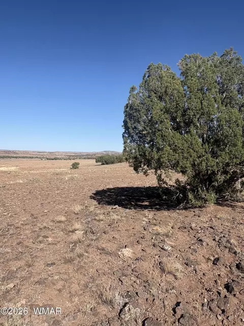 tbd N7399, Chambers, AZ 86502 photo 3