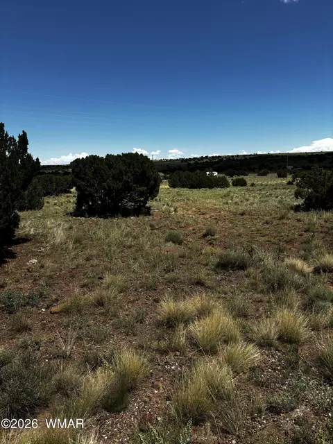 tbd N7399, Chambers, AZ 86502 photo 2