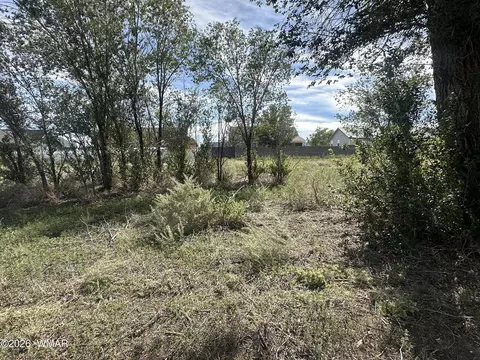 lot143 S River Rd, Eagar, AZ 85925 photo 2