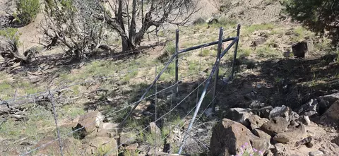 tbd Cr 8624, Concho, AZ 85924 photo 15