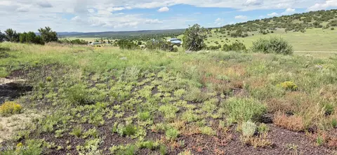 tbd Cr 8624, Concho, AZ 85924 photo 31