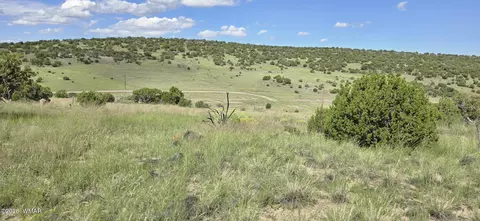 tbd Cr 8624, Concho, AZ 85924 photo 7