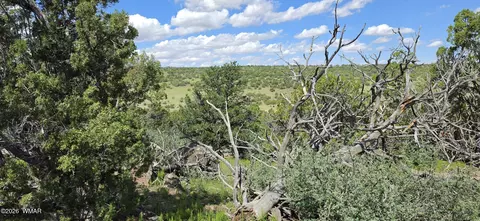 tbd Cr 8624, Concho, AZ 85924 photo 20
