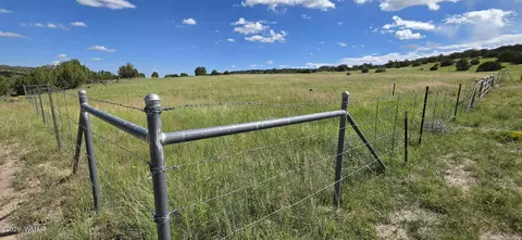 tbd Cr 8624, Concho, AZ 85924 photo 2