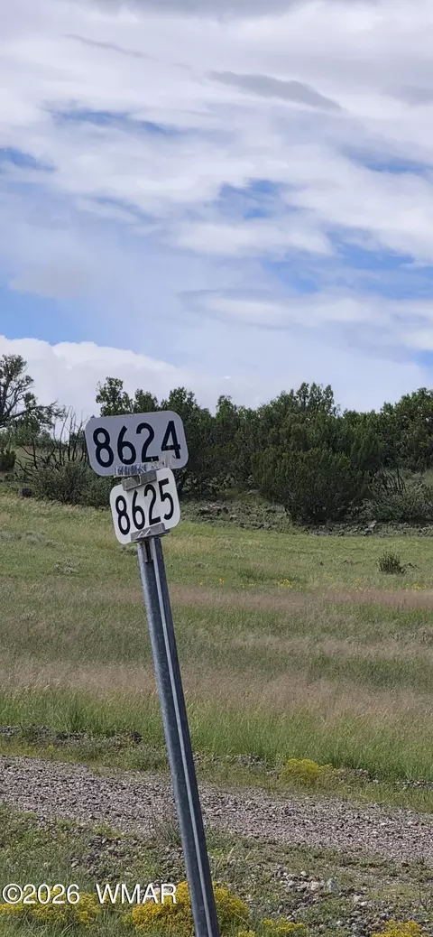 tbd Cr 8624, Concho, AZ 85924 photo 43