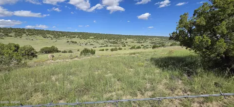 tbd Cr 8624, Concho, AZ 85924 photo 6