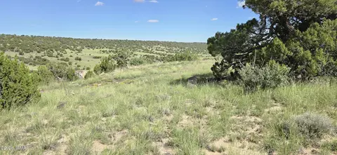 tbd Cr 8624, Concho, AZ 85924 photo 8