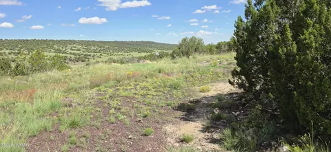 tbd Cr 8624, Concho, AZ 85924 photo 29