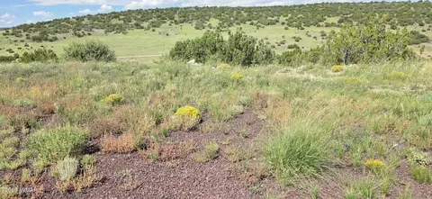 tbd Cr 8624, Concho, AZ 85924 photo 30