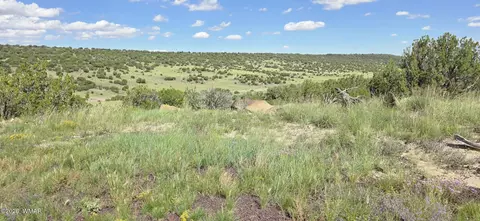 tbd Cr 8624, Concho, AZ 85924 photo 32