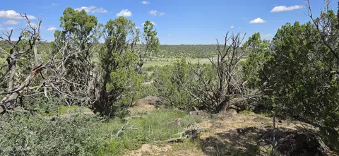 tbd Cr 8624, Concho, AZ 85924 photo 19