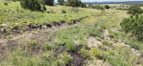 tbd Cr 8624, Concho, AZ 85924 photo 36