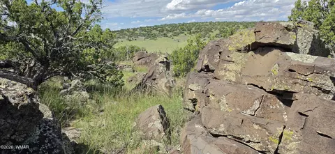tbd Cr 8624, Concho, AZ 85924 photo 21