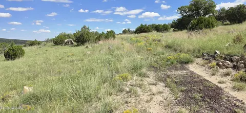 tbd Cr 8624, Concho, AZ 85924 photo 39
