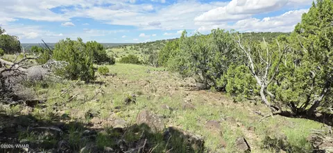 tbd Cr 8624, Concho, AZ 85924 photo 26