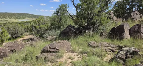 tbd Cr 8624, Concho, AZ 85924 photo 24