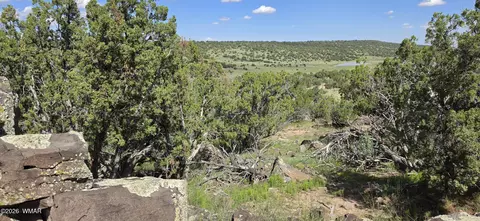 tbd Cr 8624, Concho, AZ 85924 photo 22
