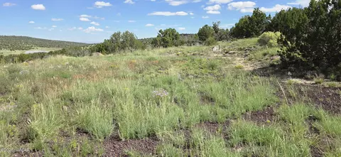 tbd Cr 8624, Concho, AZ 85924 photo 33