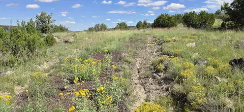 tbd Cr 8624, Concho, AZ 85924 photo 38