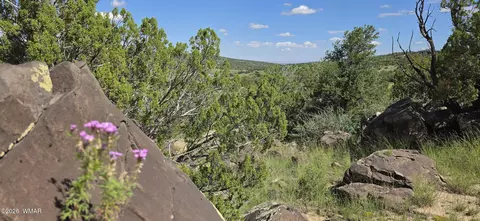 tbd Cr 8624, Concho, AZ 85924 photo 25