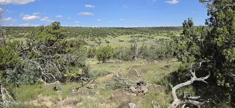 tbd Cr 8624, Concho, AZ 85924 photo 11