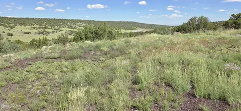 tbd Cr 8624, Concho, AZ 85924 photo 34