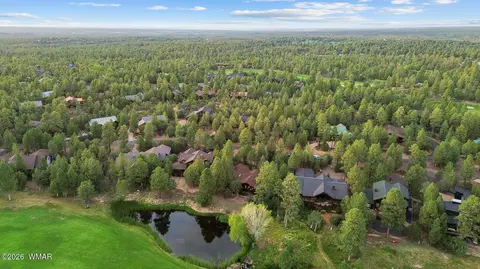 View/Area - 4010 Sugar Pine Loop, Show Low, AZ 85901 photo 7 of 11