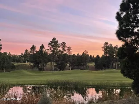 Other - 4010 Sugar Pine Loop, Show Low, AZ 85901 photo 11 of 12