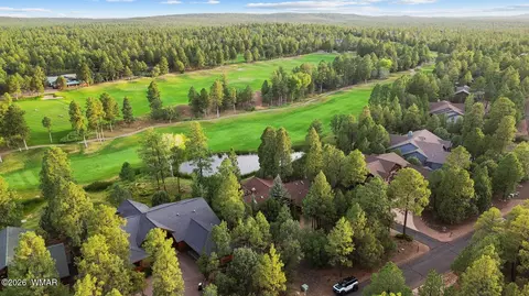 View/Area - 4010 Sugar Pine Loop, Show Low, AZ 85901 photo 11 of 11