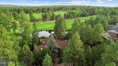 Other - 4010 Sugar Pine Loop, Show Low, AZ 85901 photo 8 of 12