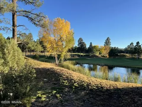 View/Area - 4010 Sugar Pine Loop, Show Low, AZ 85901 photo 2 of 11