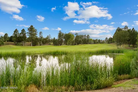 View/Area - 4010 Sugar Pine Loop, Show Low, AZ 85901 photo 1 of 11