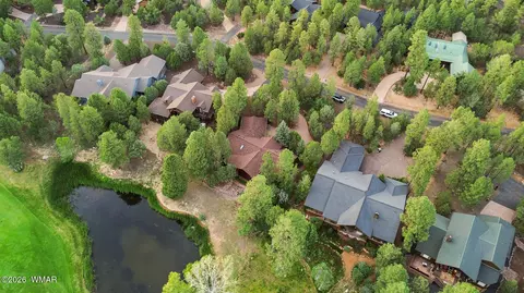 View/Area - 4010 Sugar Pine Loop, Show Low, AZ 85901 photo 3 of 11