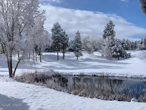 Other - 4010 Sugar Pine Loop, Show Low, AZ 85901 photo 5 of 12