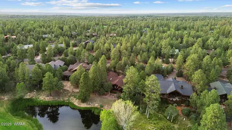 View/Area - 4010 Sugar Pine Loop, Show Low, AZ 85901 photo 6 of 11
